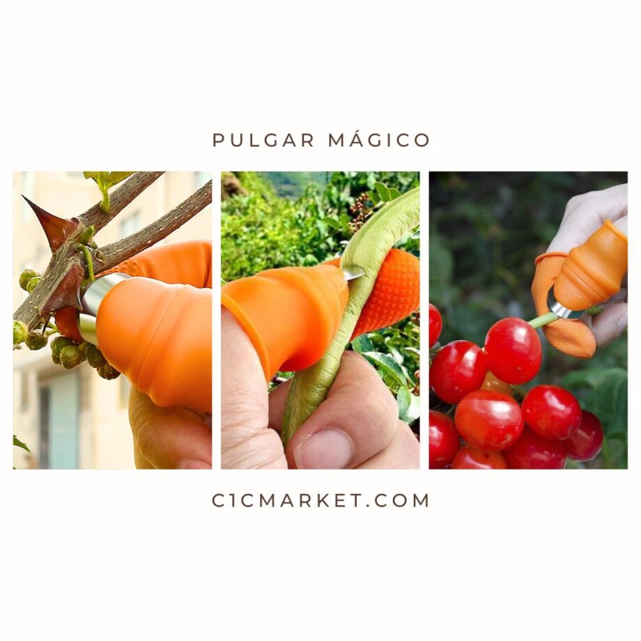 Pulgares con cuchilla para cosecha y cocina - Pulgar Mágico C1C